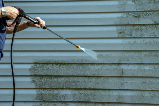 Best Driveway Pressure Washing  in Punaluu, HI